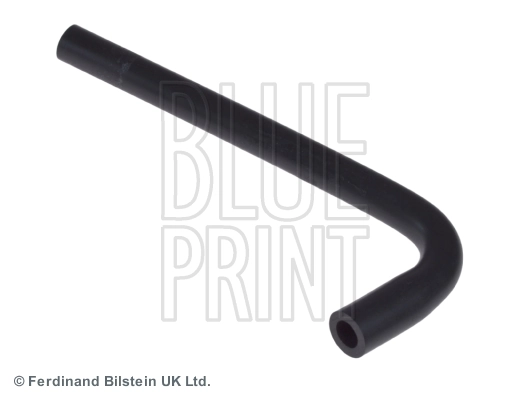 Hose, crankcase ventilation